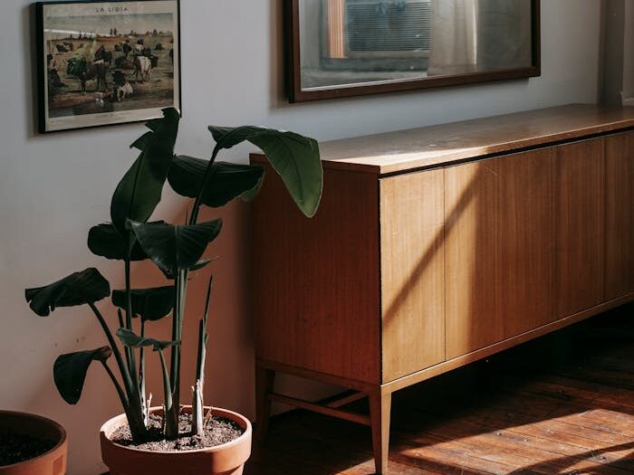 pexels-photo-5748730-5748730 pexels-photo-5748730-5748730.jpg